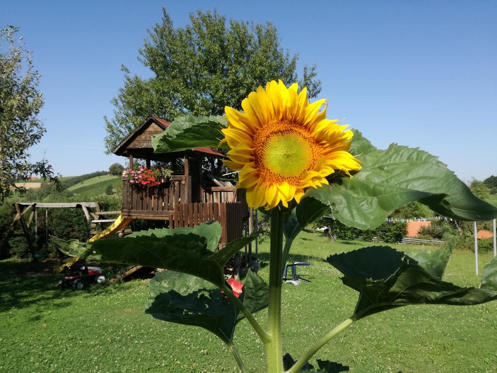 Gastehaus Dobida Hotel Unterlamm  Екстериор снимка