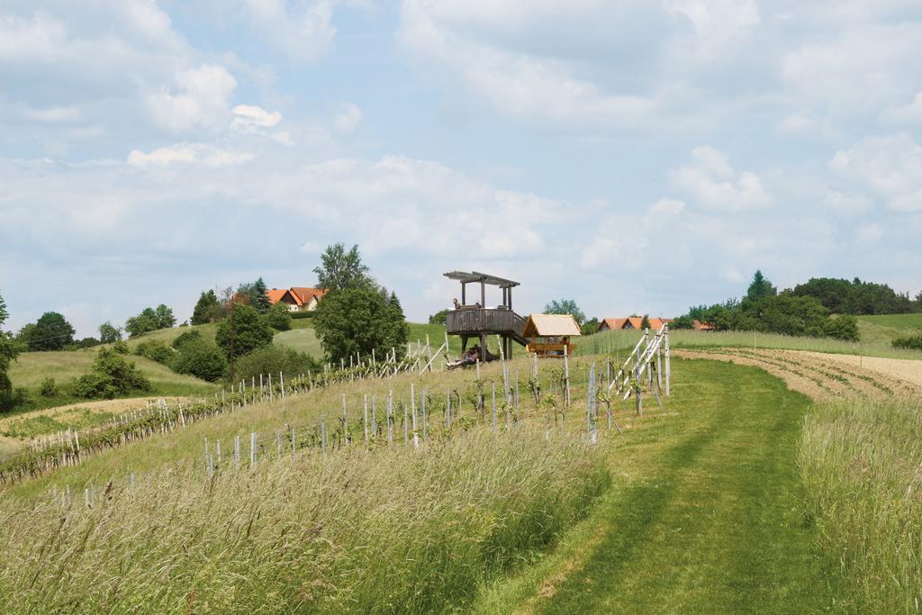 Gastehaus Dobida Hotel Unterlamm  Екстериор снимка